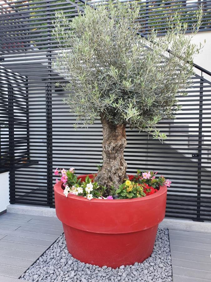 Visioni Lake View Boutique Rooms & Breakfast - Adults Friendly Riva del Garda Exterior foto